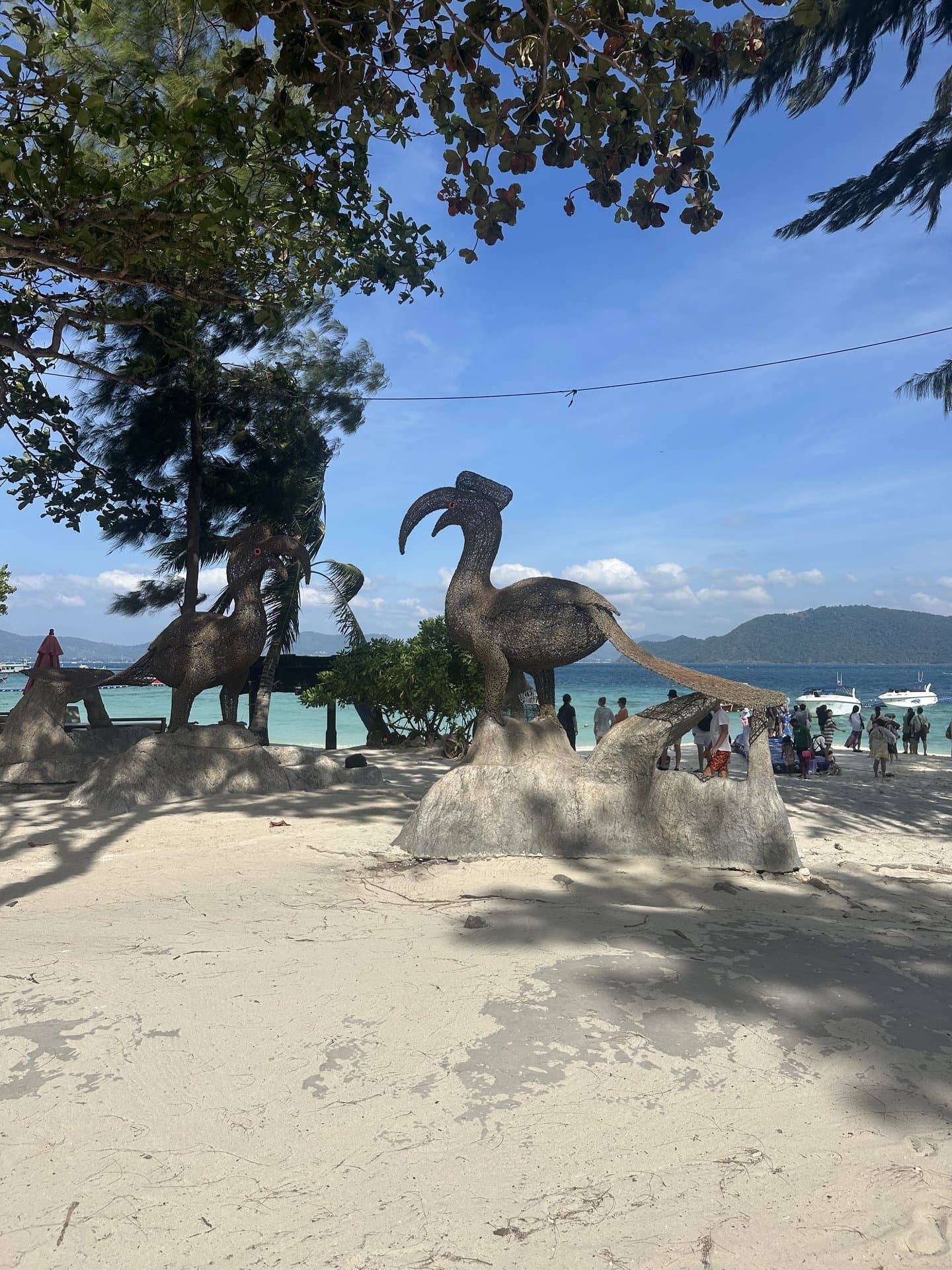 Combined Racha Yai and Coral Island private day — photo 8